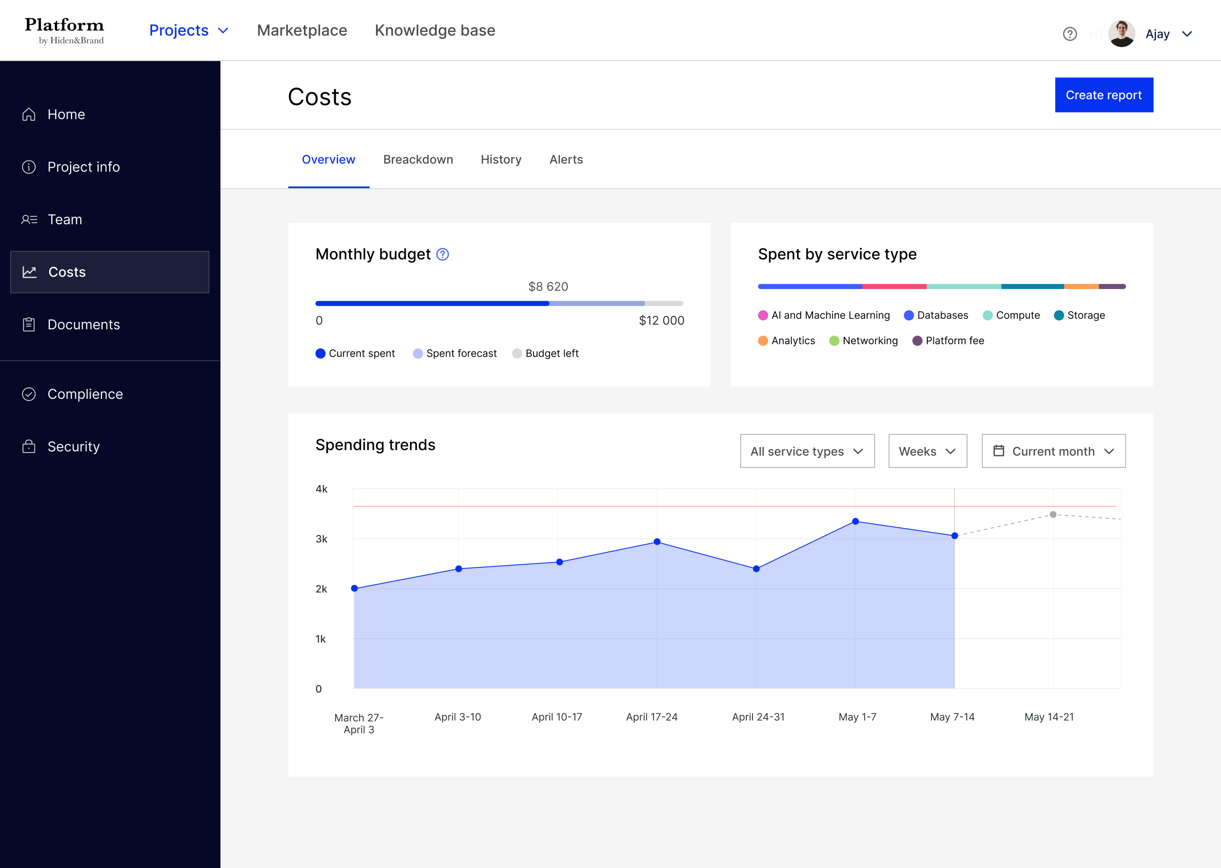 Platform project view — Costs dashboard